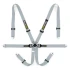 Racetech Pro International 6-Point Lightweight GT Harness - Aluminum Adjusters RTPRINTLWGT