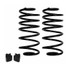 Detroit Speed Rear 2" Drop Springs (1978 - 1988 GM G-Body) 041813DS