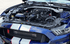 Procharger Supercharger Stage II Intercooled Tuner Kit (2015 - 2020 Shelby GT350 / GT350R) 1FW304-SCI