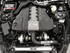 Beefcake Special Hellion Twin Turbo System (18-20 Mustang GT)