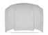 Cervinis Cowl Hood (1997 - 2003 F150) 129
