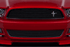 Cervinis Lower Billet Grille (2013 - 2014 Mustang) 7277