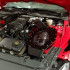 PMAS Cold Air Intake Roush VMP TVS Tune Required (15-18 Mustang GT) N-PD13-1