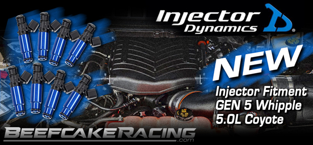 Injector Dynamics Whipple Coyote 5.0L Fuel Injectors for Mustang and F-150 with Whipple Gen 5 Superchargers