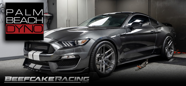 Palm Beach Custom Dyno Tuning for Ford Mustang and F-150 Trucks at Beefcake Racing