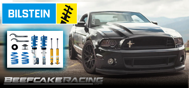 bilstein-suspension-shocks-springs-beefcake-racing.jpg bilstein-suspension-shocks-springs-beefcake-racing.jpg