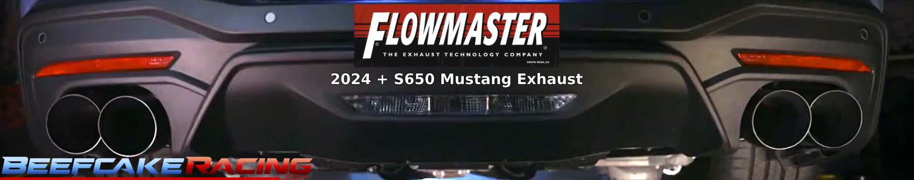 flowmaster-s650beefcake.png