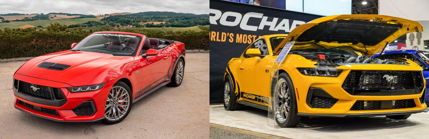 procharger24mustanggt-beefcakerac.png procharger24mustanggt-beefcakerac.png