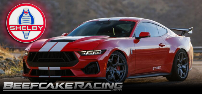shelby-american-parts-mustang-f150-beefcake-racing.jpg