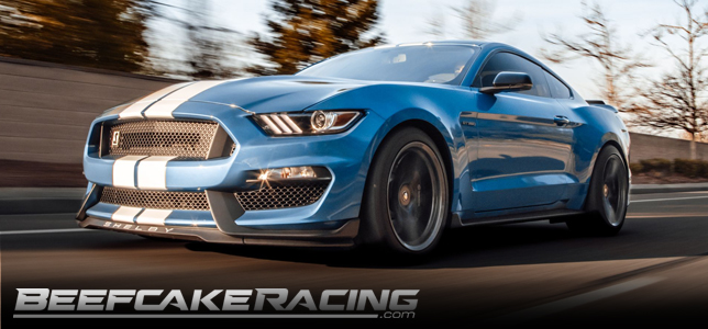 shelby-mustang-gt350-aftermarket-performance-parts-beefcake-racing.jpg