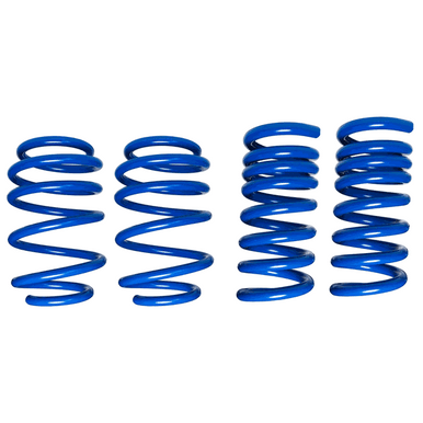 Steeda .750″ Competition Dual Rate Springs (2015-2023 Mustang / 2024 Mustang GT) 555-8246
