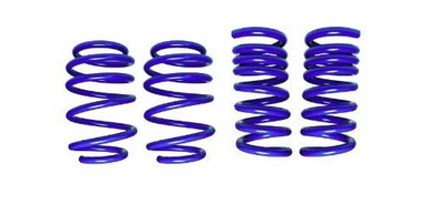 Steeda MagneRide Dual Rate Ultimate Handling Lowering Springs (2015-2023 Mustang GT / 2024 Mustang GT) 555-8243