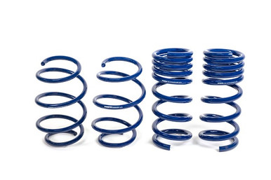 Steeda MagneRide Sport 1″ Lowering Springs (2015-2023 Mustang / 2024 Mustang GT) 555-8242