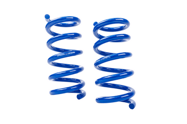 Steeda Rear Drag Spring Kit (2015-2023 Mustang / 2024 Mustang) 555-8232