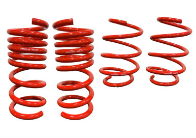Roush MagneRide Lowering Springs (2018-2024 Mustang) 422330