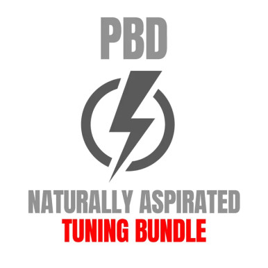 Palm Beach Dyno Naturally Aspirated Tuning Package (2015-2017 Mustang GT)