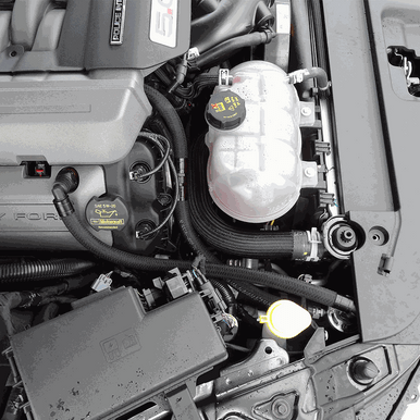 UPR Products Oil Catch Can Single Valve Black (2015-2023 Mustang GT NA/Roush SC) 5030-98-1