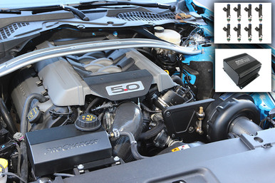 Beefcake Special Procharger HO Supercharger Kit (2015-2017 Mustang GT)