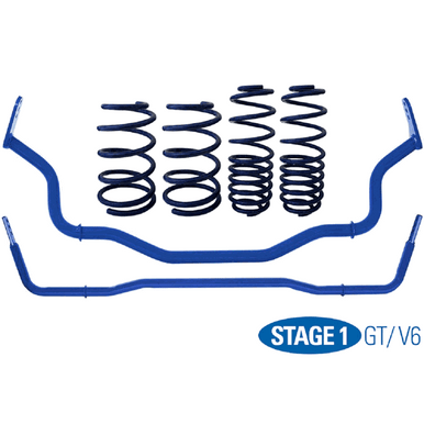 Steeda Stage 1 Handling Package Sport Progressive (2015-2023 Mustang GT / V6 / 2024 Mustang) 555-2122-P