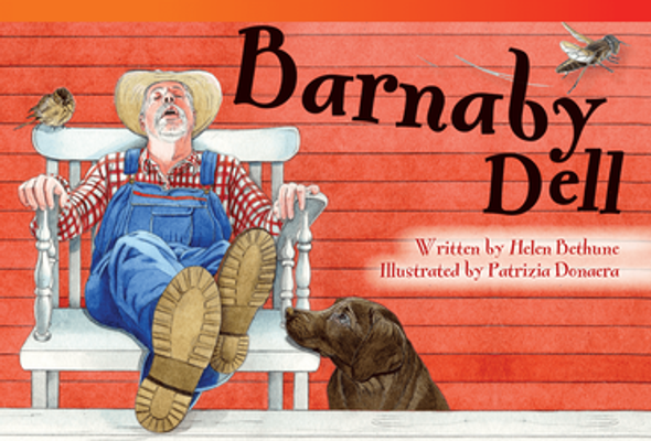 Fiction Reader: Barnaby Dell Ebook