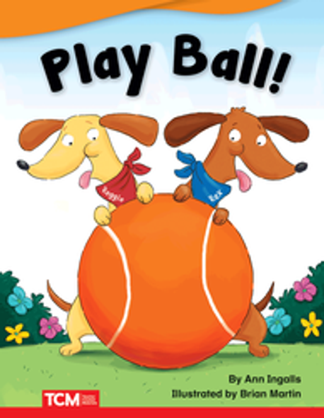 Fiction Reader: Play Ball! Ebook
