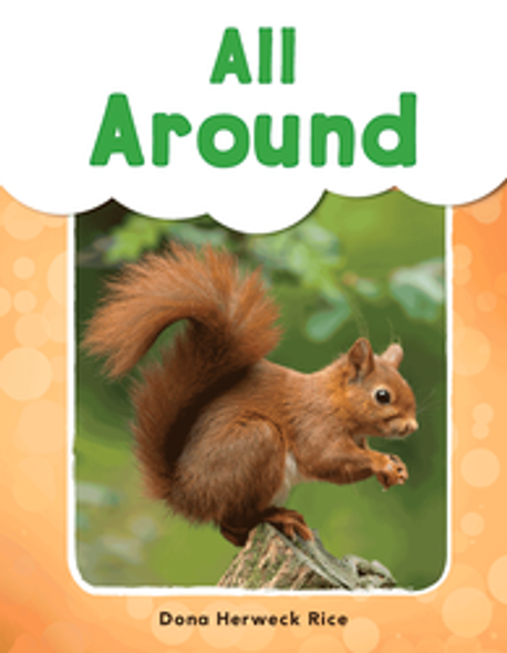 My Sight Words Reader: All Around Ebook