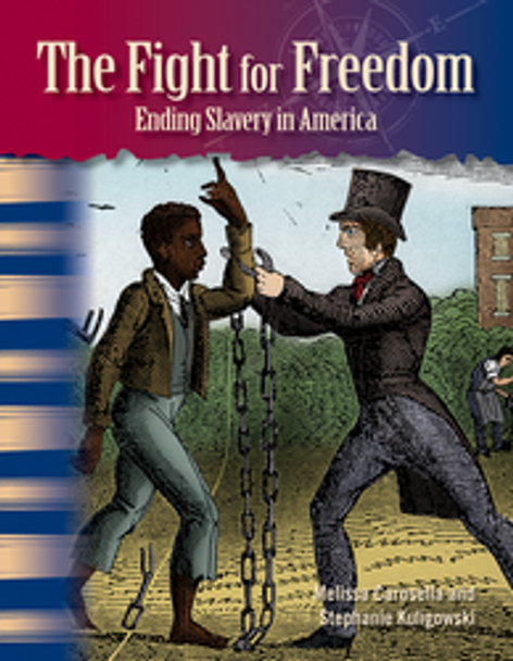 Focus on African Americans: The Fight for Freedom Ebook