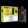 Level X M Series - Flavour Beast 30mL / 120k Starter Kit 
