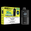 Level X M Series - Flavour Beast 30mL / 120k Starter Kit 