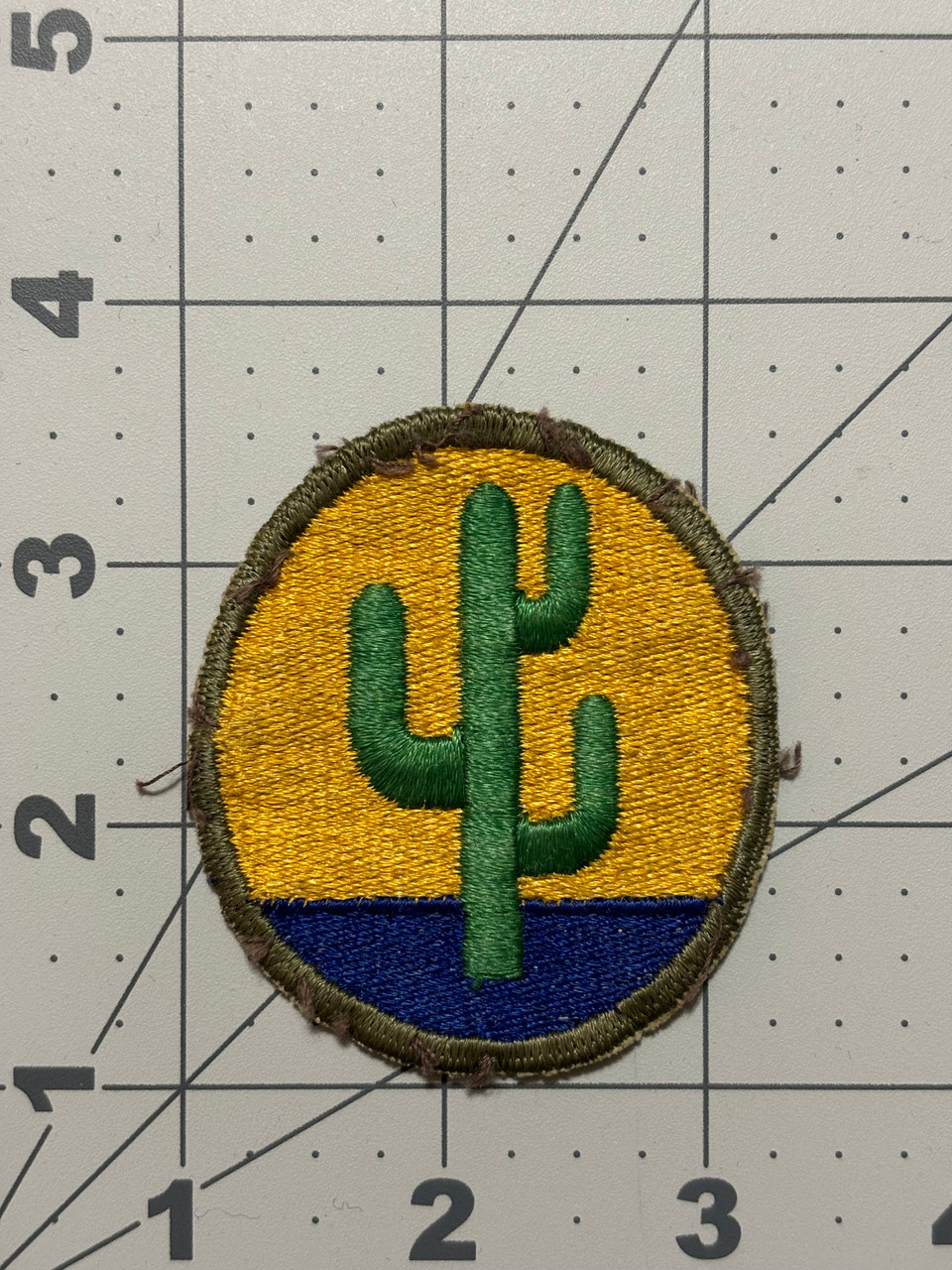 German Made US Army 103rd Infantry Division Light Green Cactus Patch Inv#  K6192