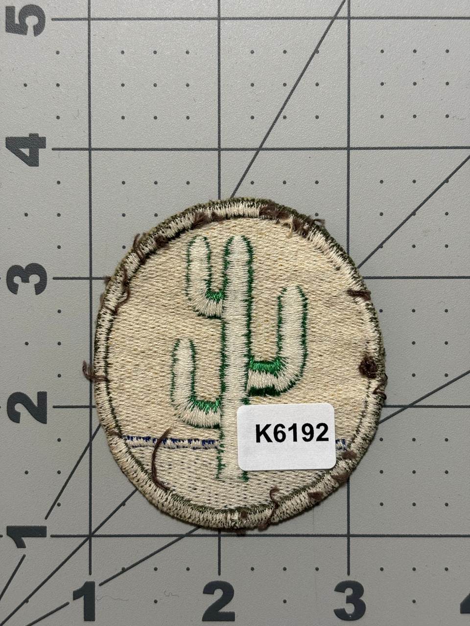 German Made US Army 103rd Infantry Division Light Green Cactus Patch Inv#  K6192
