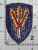 1954 - 1960 US Army 166th Regimental Combat Team Patch Inv# K8836