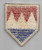 US Army 157th Regimental Combat Team Patch 1954 - 1955 Inv# F491