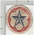 Off Uniform WW 2 US Army Service Forces White Border Large Star Patch Inv# K3408
