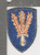 1954 - 1960 US Army 166th Regimental Combat Team Patch Inv# K1160