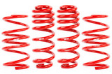 APR Roll-Control Lowering Springs - Mk8 Golf GTI