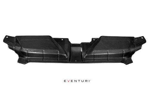 Eventuri Carbon Fibre Slam Panel Cover- Audi RS5 (B8) 4.2FSI