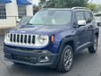 Jeep Renegade 2017 W2993A
