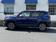 Jeep Renegade 2017 W2993A