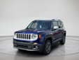 Jeep Renegade 2017 W2993A