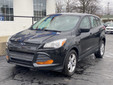 Ford Escape 2015 C55022 Ford Escape 2015 C55022