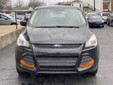 Ford Escape 2015 C55022 Ford Escape 2015 C55022