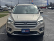 Ford Escape 2017 M8505