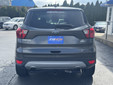 Ford Escape 2019 C5084 Ford Escape 2019 C5084