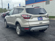 Ford Escape 2018 M8575