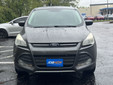 Ford Escape 2016 W3605