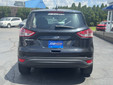 Ford Escape 2015 C5135