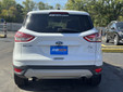 Ford Escape 2015 M8621