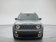 Jeep Renegade 2018 M8786