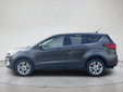 Ford Escape 2019 C5084